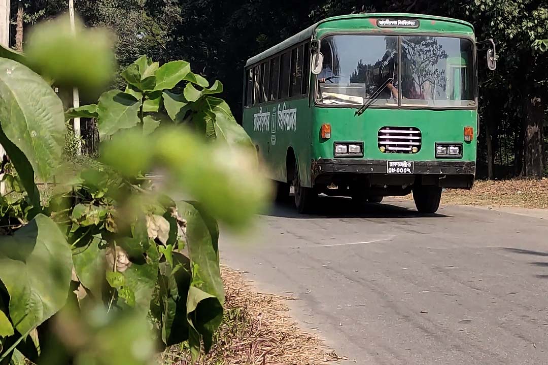 জাহাঙ্গীরনগর বিশ্ববিদ্যালয়: অভ্যন্তরীণ পরিবহন সংকট